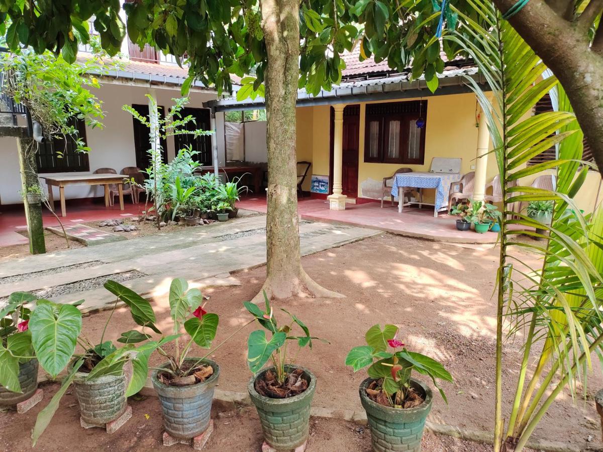 Ancient Tree Hotel Mirissa Exterior photo