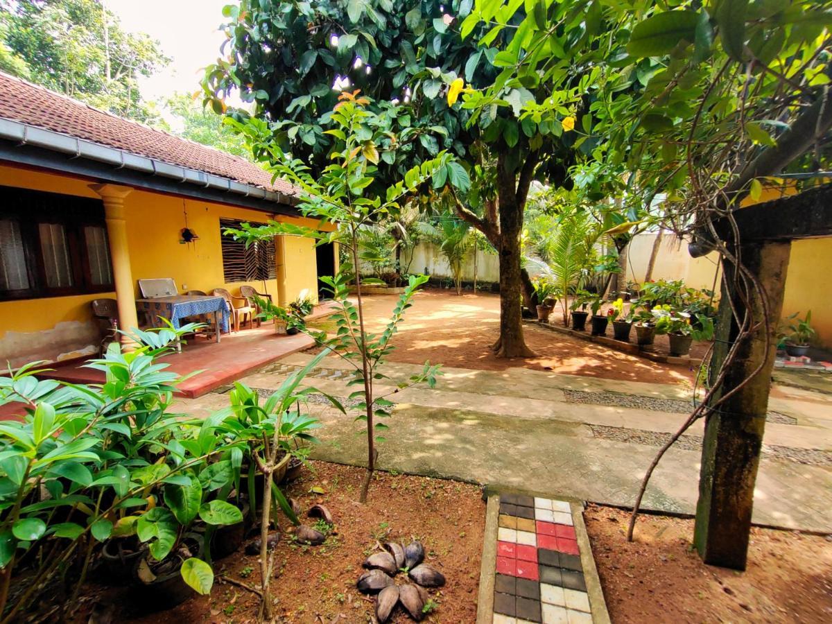 Ancient Tree Hotel Mirissa Exterior photo