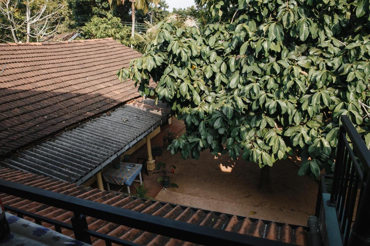Ancient Tree Hotel Mirissa Exterior photo